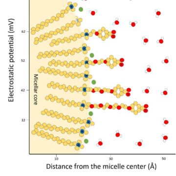 Experimental mapping of a pH gradient from a positively charged micellar interface to bulk solution