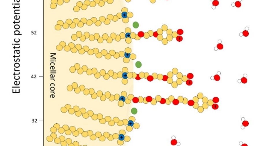 Experimental mapping of a pH gradient from a positively charged micellar interface to bulk solution