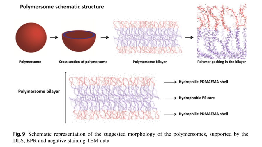 Stimuli‑responsive polymersomes of poly [2‑(dimethylamino) ethyl methacrylate]‑b‑polystyrene